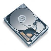 Maxtor / 250GB / 7200 / 8MB / SATA-150 / OEM / Hard Drive